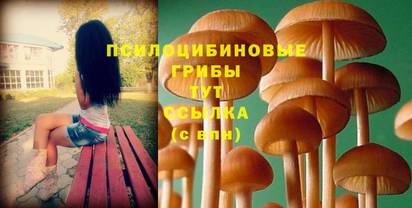 прущий лед Алексин