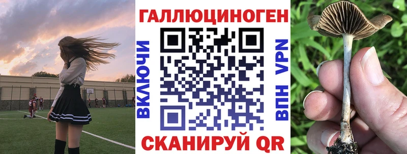 кракен как зайти Завитинск Псилоцибиновые грибы Psilocybine cubensis купить сайты